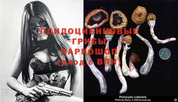 таблы Аркадак